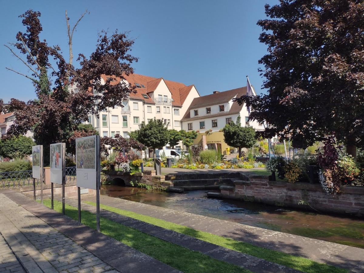 Charmant studio classé 3 étoiles au coeur de Niederbronn-les-Bains Esterno foto