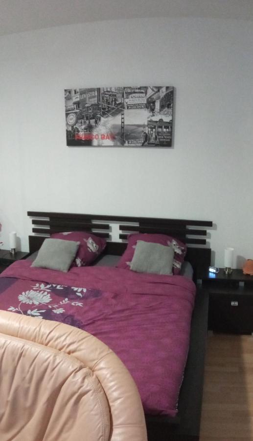 Charmant studio classé 3 étoiles au coeur de Niederbronn-les-Bains Esterno foto