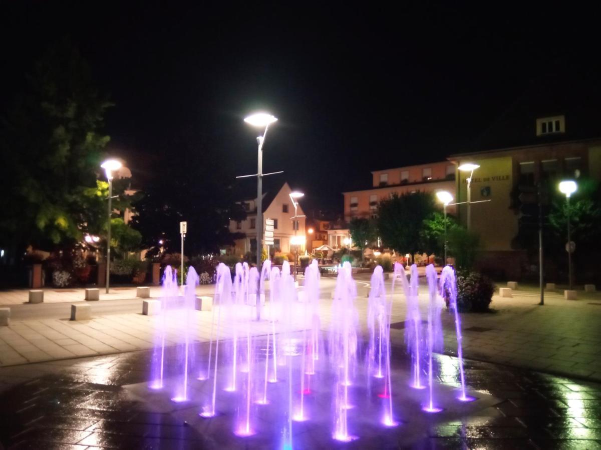 Charmant studio classé 3 étoiles au coeur de Niederbronn-les-Bains Esterno foto